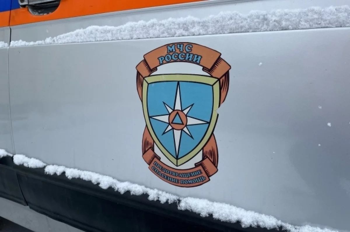 В Новосибирской области заявили о готовности к лесным пожарам