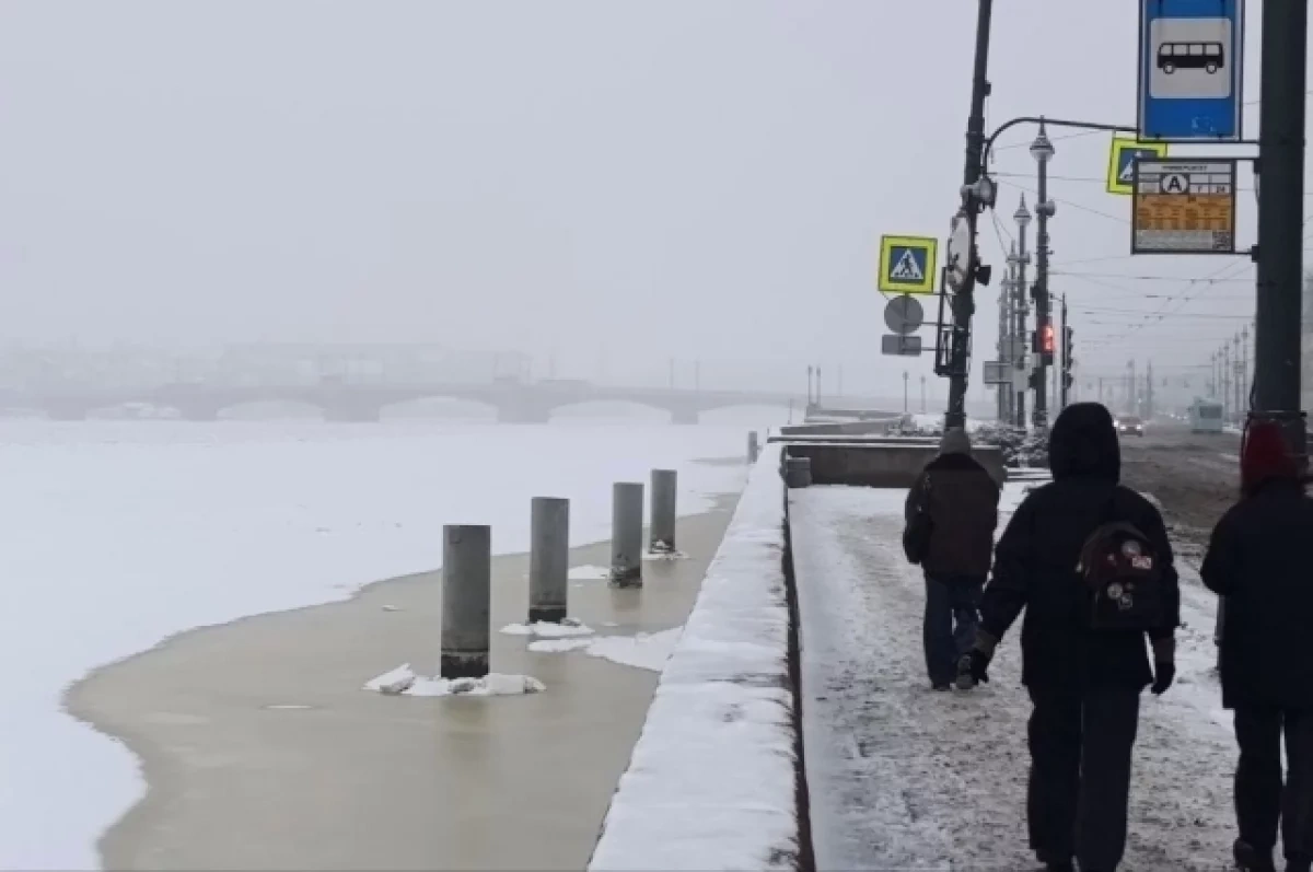 В Новосибирске ударит мороз —35 градусов 25 февраля