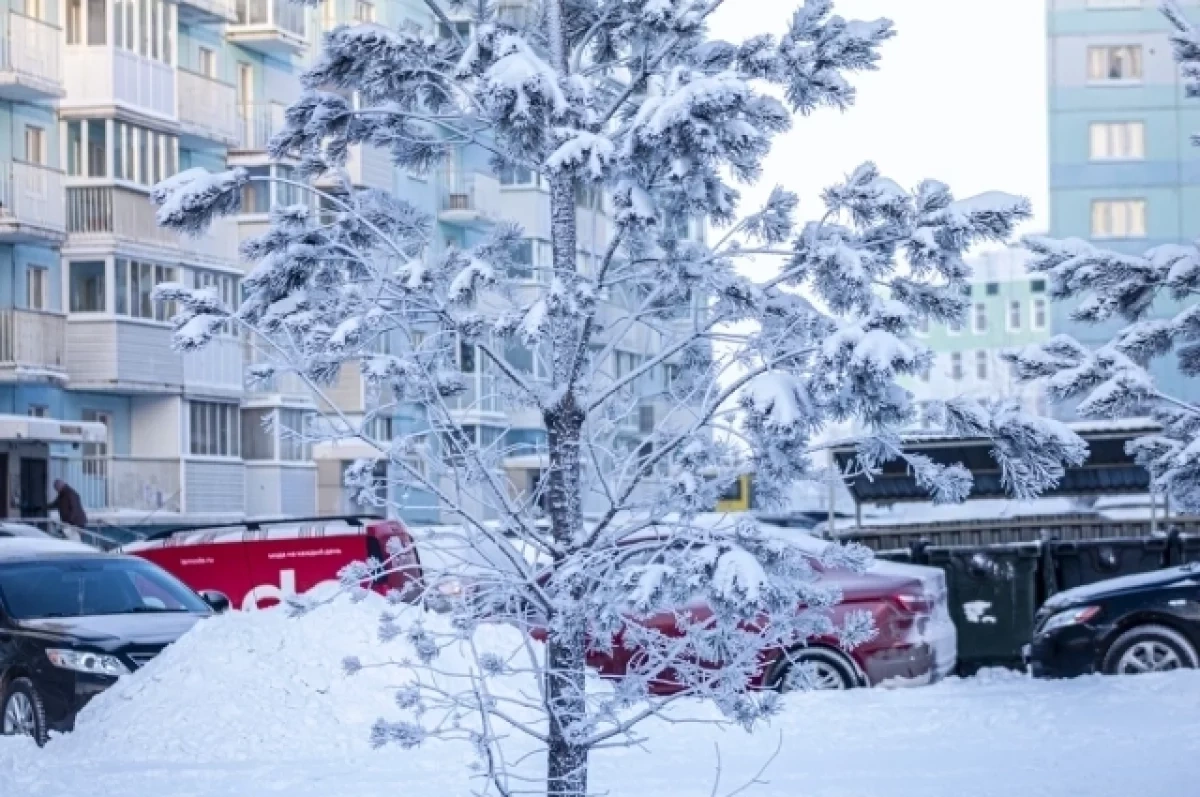 Экстремальные морозы до -40° накроют Новосибирскую область