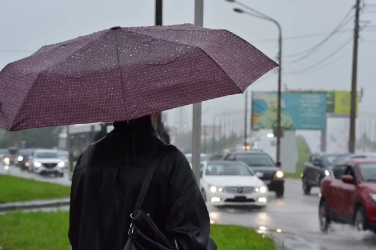 В Новосибирске ожидаются ночные заморозки и дождь после потепления