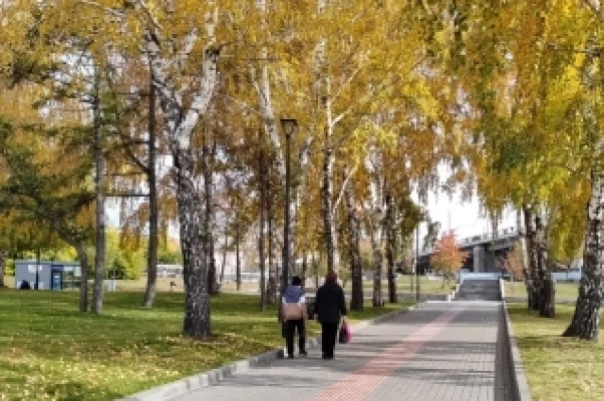 Синоптики назвали даты бабьего лета в Новосибирске