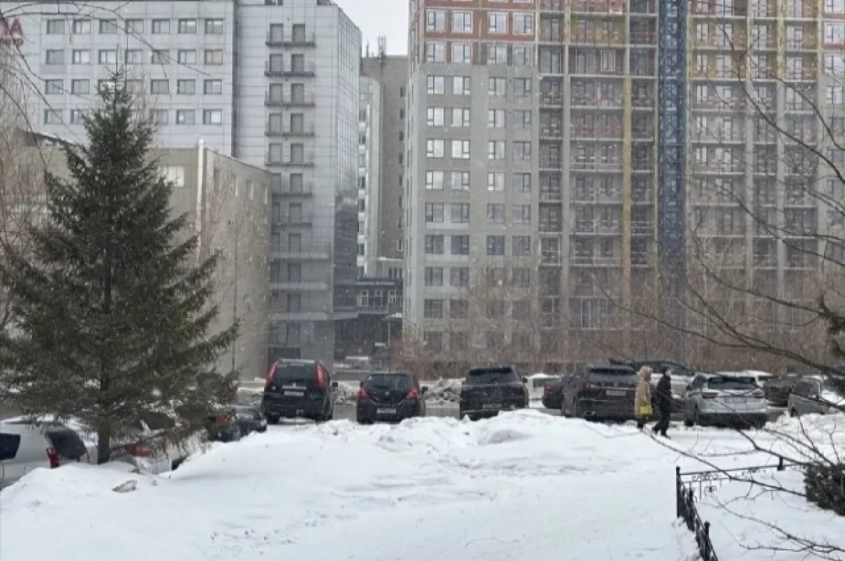 В Новосибирске вспомнили самый холодный март более чем за 100 лет