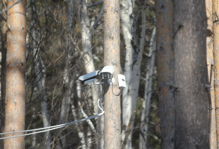 В Новосибирской области число камер для контроля лесных пожаров вырастет до 54