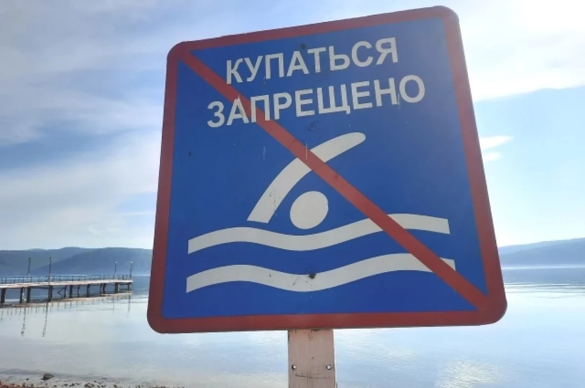 В Новосибирске запретили купание на пляже в Бугринской роще
