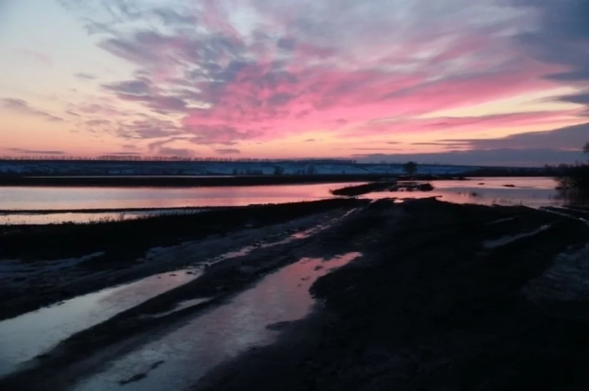 Спасатели стабилизировали паводок в Новосибирской области