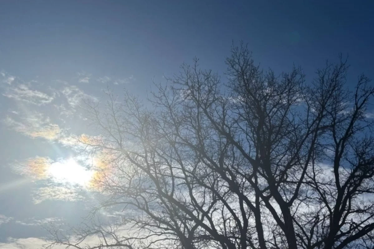 В Новосибирске потеплеет до +3 градусов