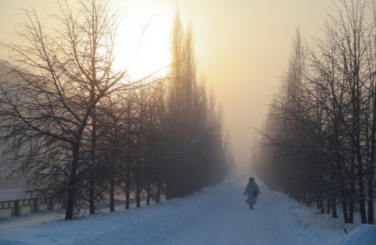 В Новосибирскую область после оттепели вернутся морозы до -31 градуса