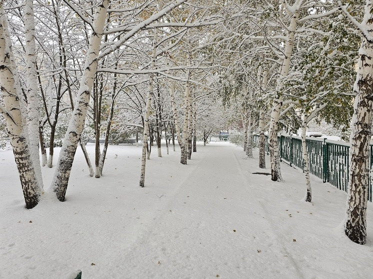 6 февраля в Новосибирске потеплеет до +1°C