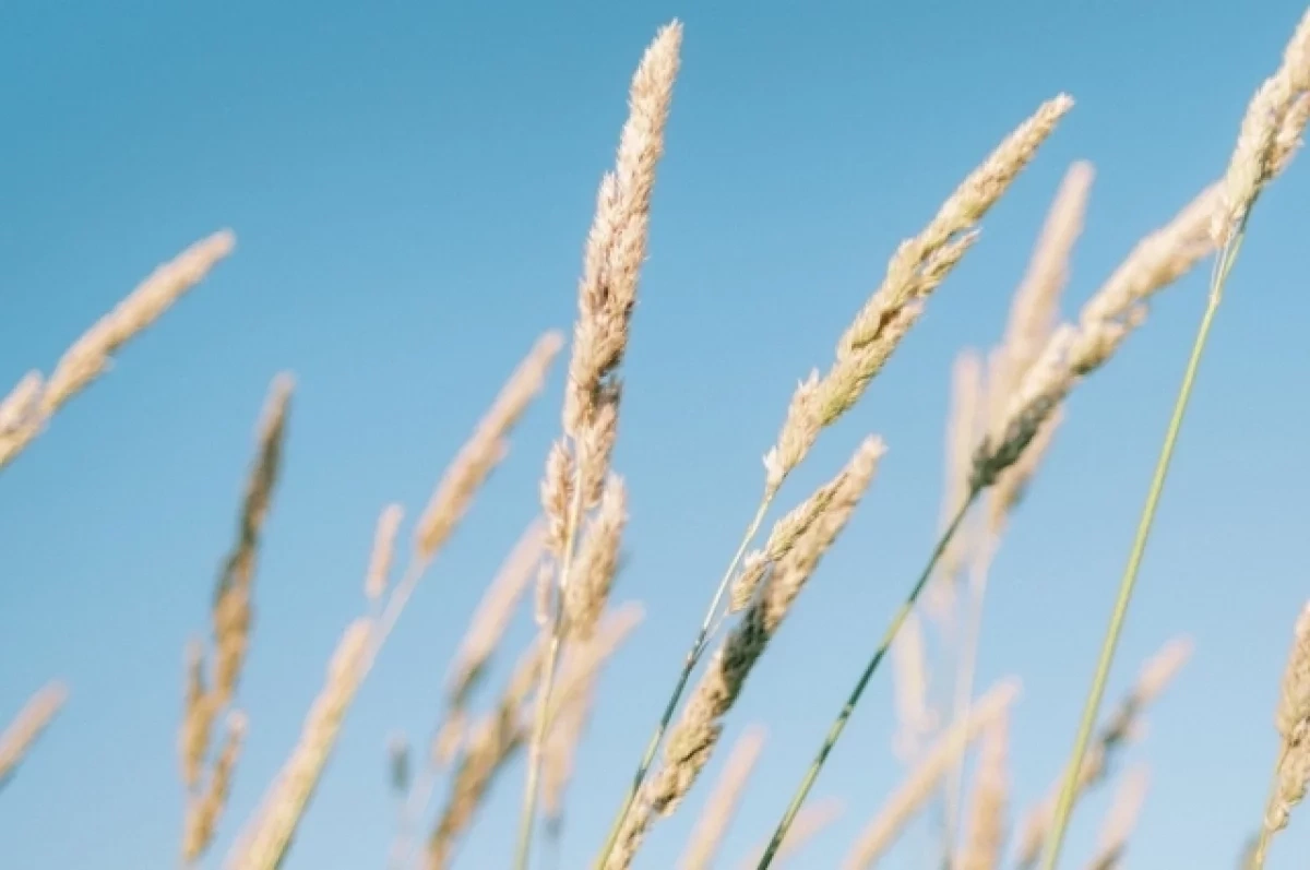 В Новосибирске ожидаются резкие перепады погоды и сильный ветер