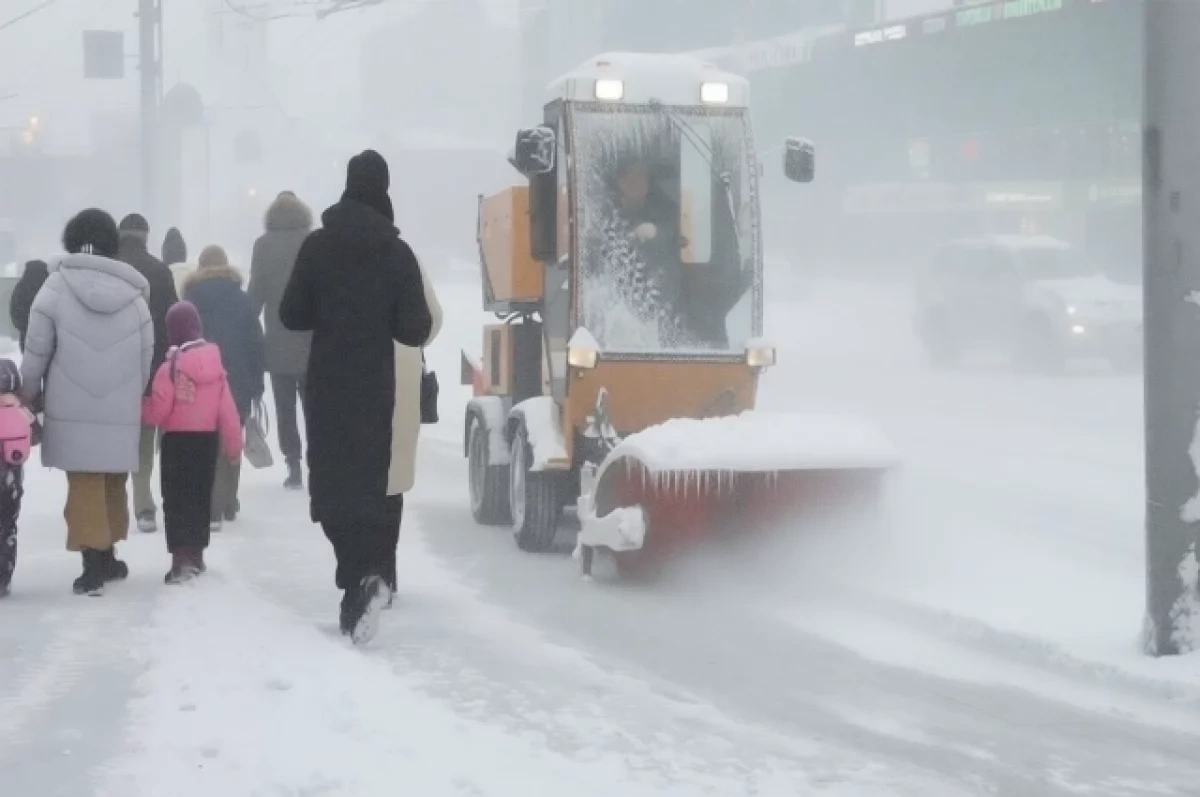 В Новосибирске климатолог заявил об аномальном снегопаде в марте