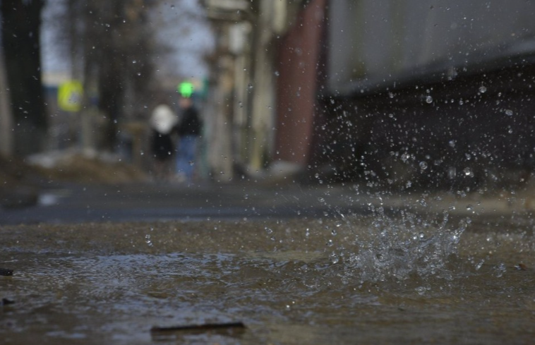 Тепло до +12 градусов ожидается в Новосибирске в начале апреля