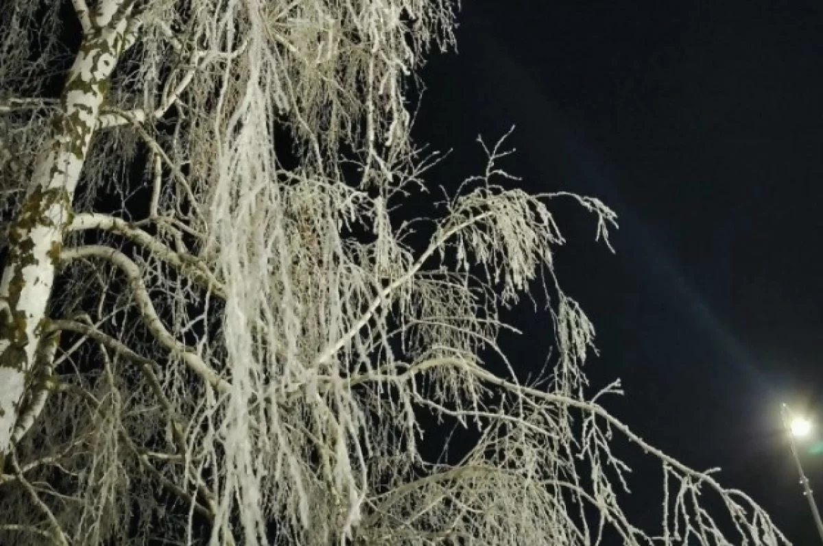 В Новосибирске самая низкая температура 23 февраля составила -37