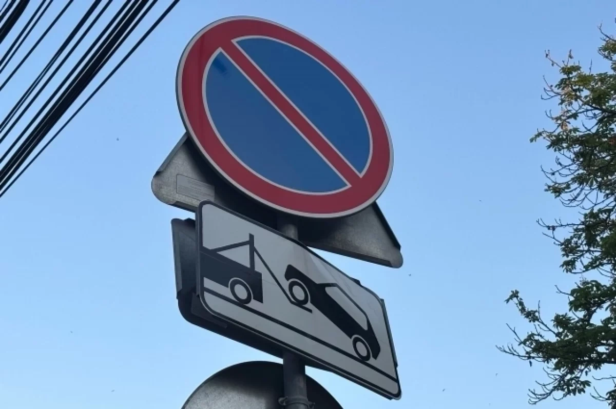 В Новосибирске за неделю выписали 261 штраф за парковку на газонах