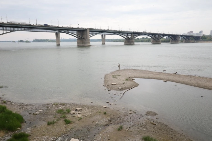 Новосибирские ученые нашли в Оби около 20 чужеродных видов рыб