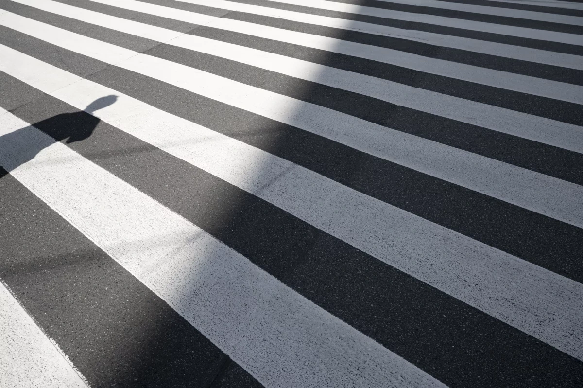 В Новосибирске за 30 млн рублей обновят разметку возле школ