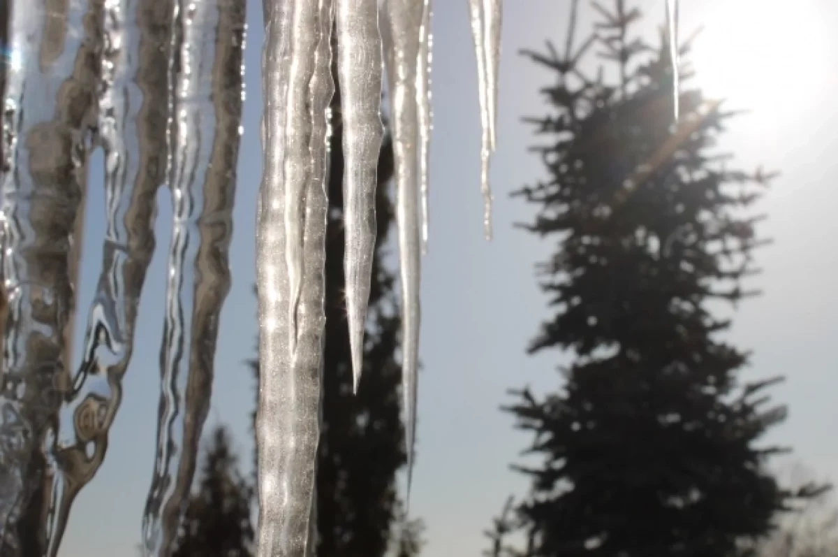 Синоптики рассказали, когда новосибирцам ждать весеннюю теплую погоду