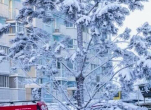 Климатолог спрогнозировал, вернутся ли в Новосибирск морозы до −45 °C в феврале