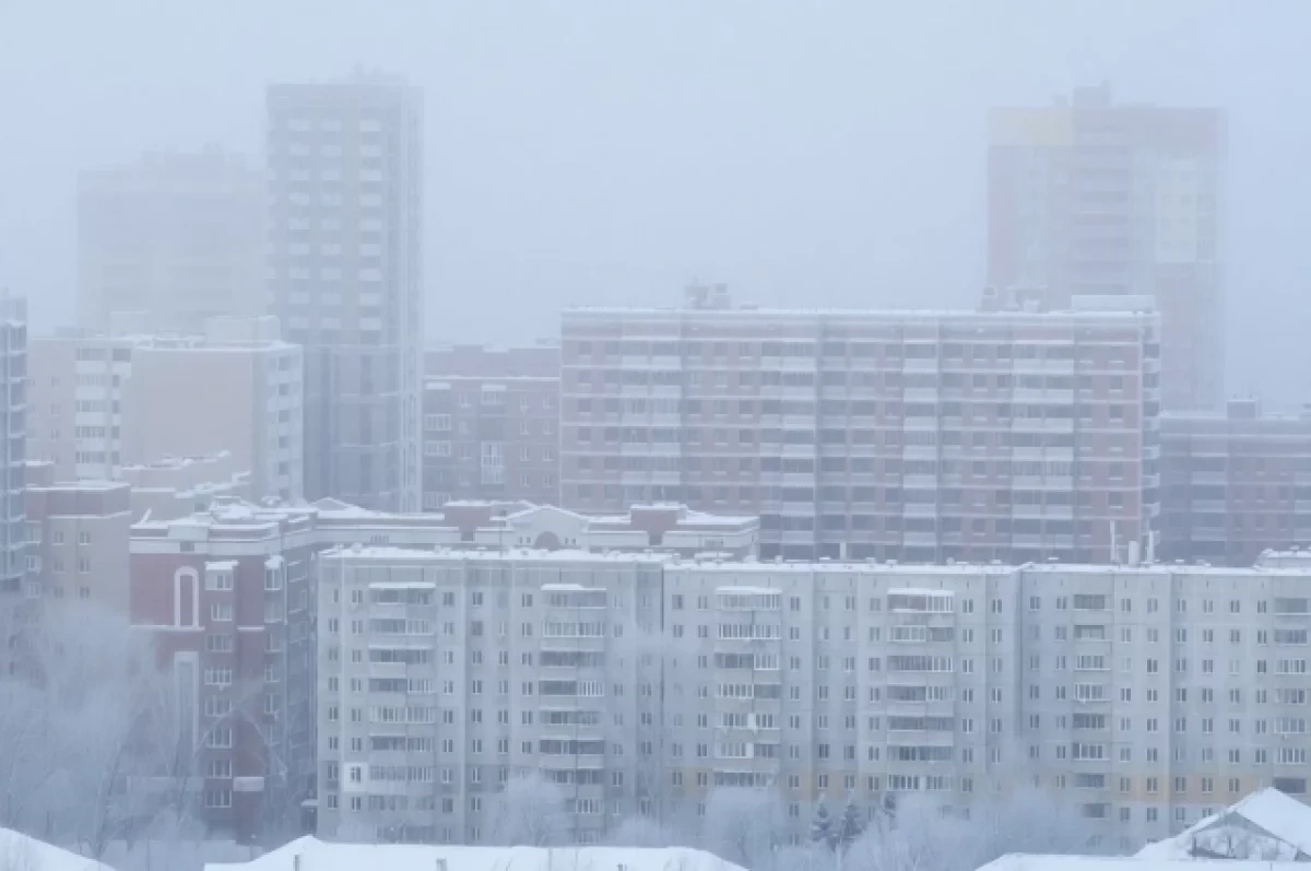 В Новосибирске зафиксировали аномальный февральский мороз до –48