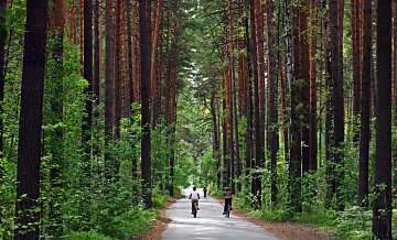 Заельцовский парк откроется в средине лета