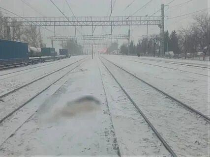 Пенсионерка поскользнулась на путях и упала под поезд Пенсионерка поскользнулась на путях и упала под поезд