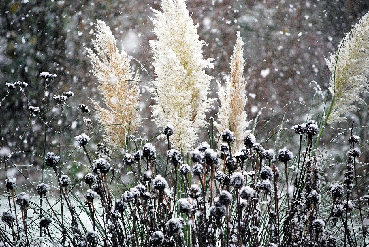 Новосибирцев ждут холодные выходные со снегом